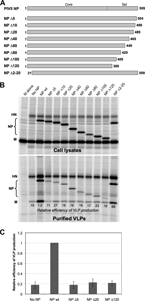 FIG. 1.