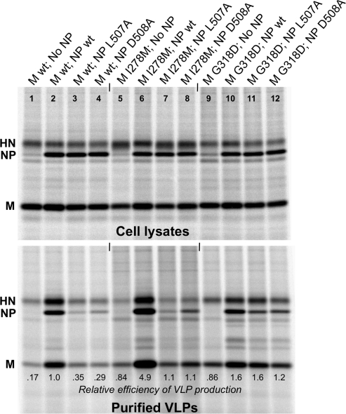 FIG. 9.