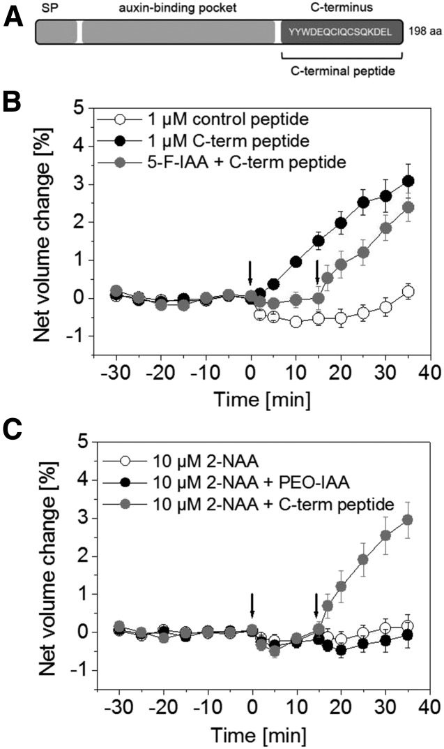 Figure 3.