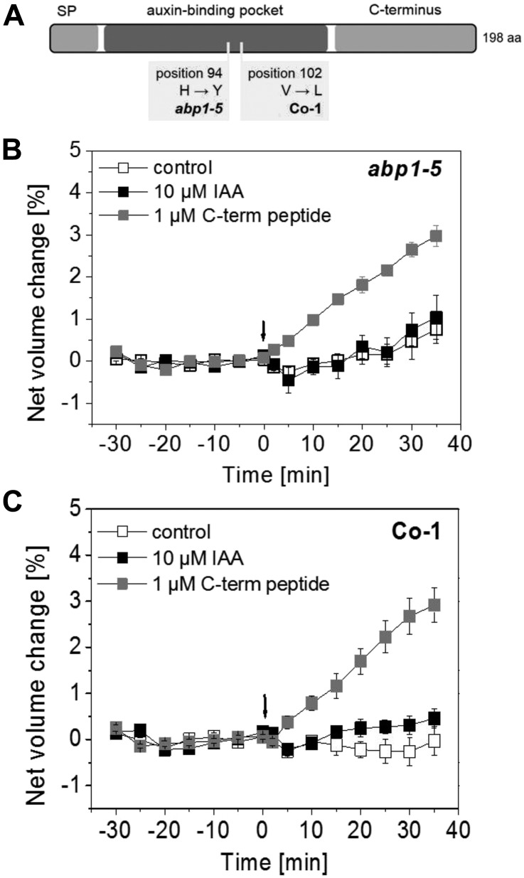 Figure 5.