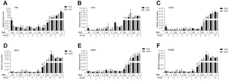 Figure 2