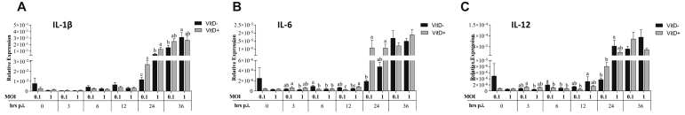 Figure 4