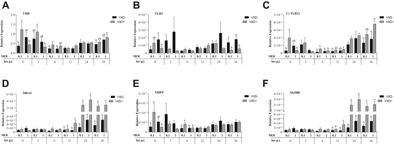 Figure 5