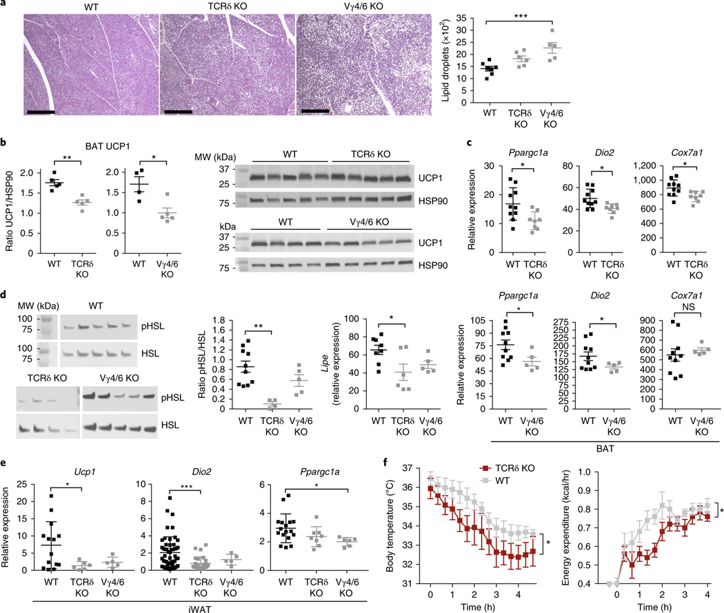 Fig. 7 |