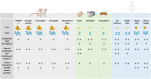 Figure 6