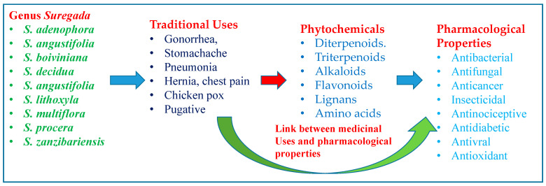 Figure 13