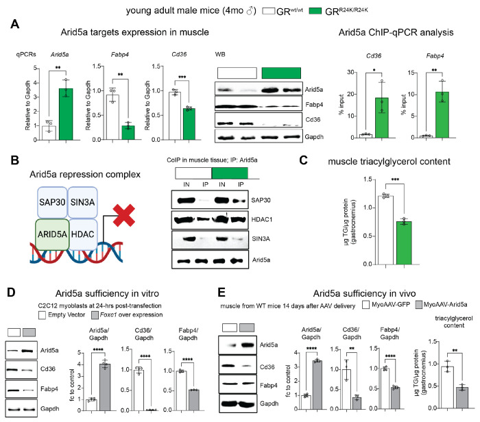 Figure 4: