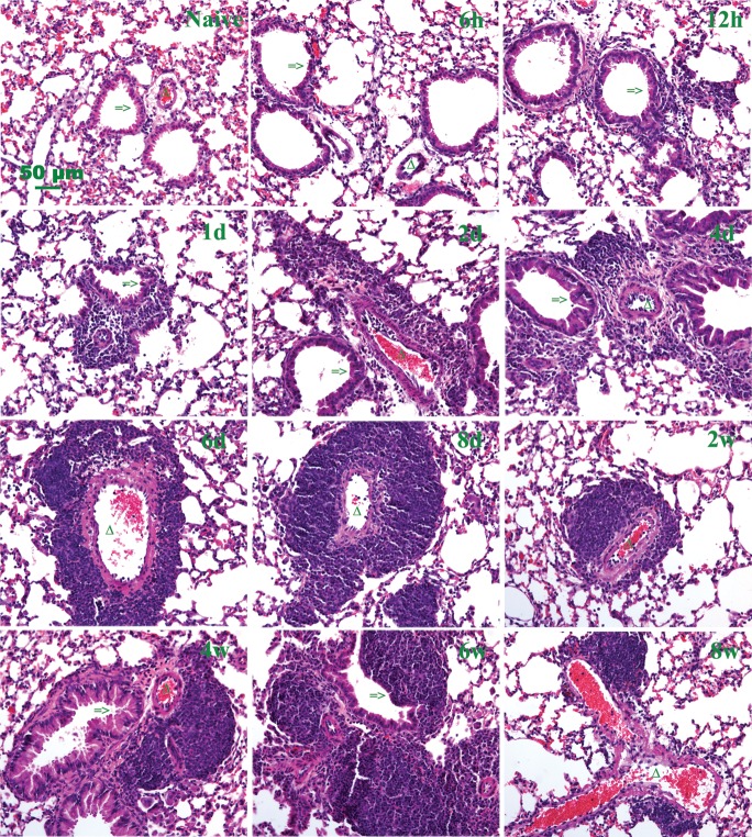 Fig. 5.