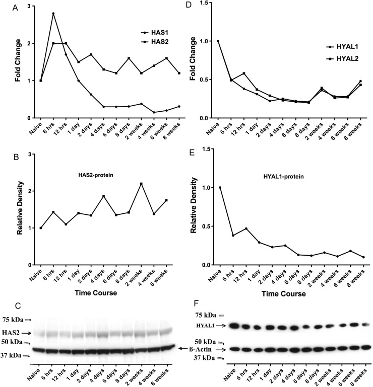 Fig. 4.