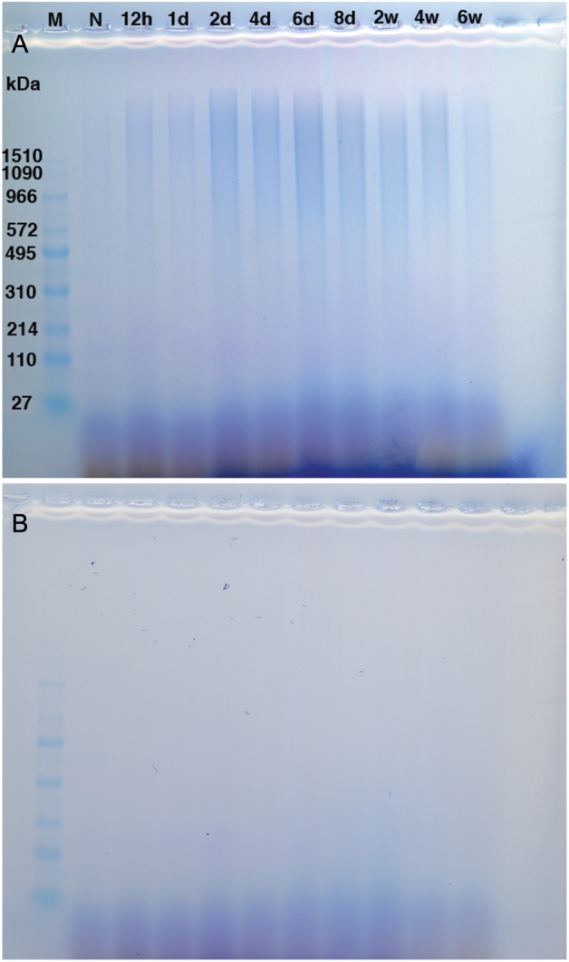 Fig. 2.