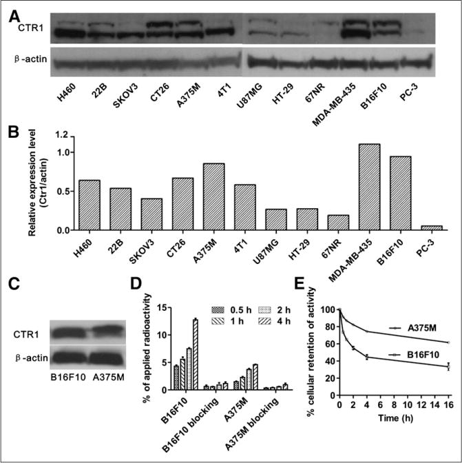 FIGURE 1