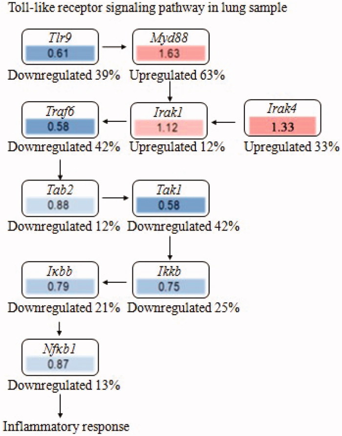 Figure 7.