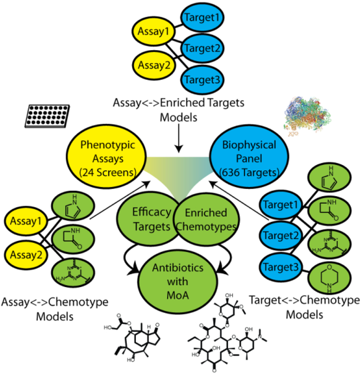 Figure 1: