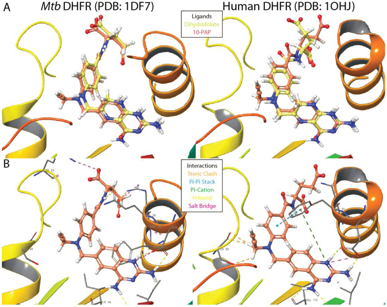 Figure 4: