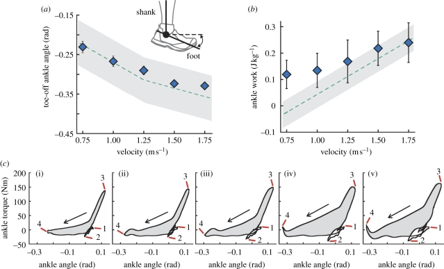 Figure 2.