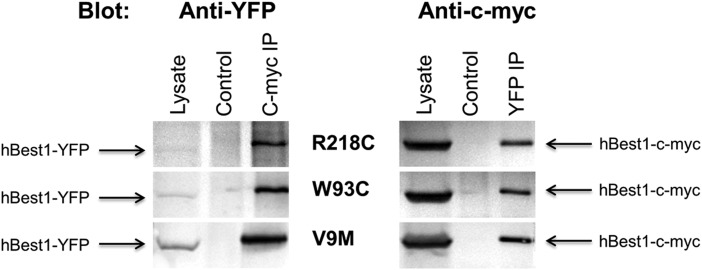 Figure 4.