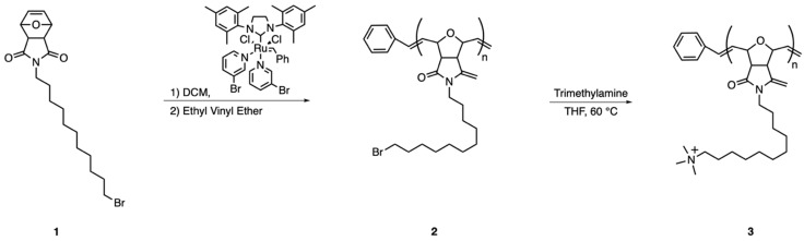 Scheme 2