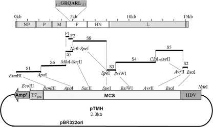 FIG. 1.