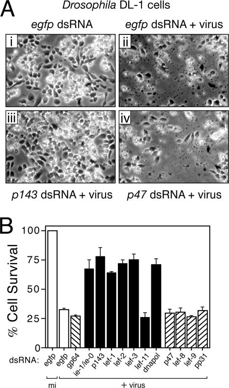 FIG. 7.