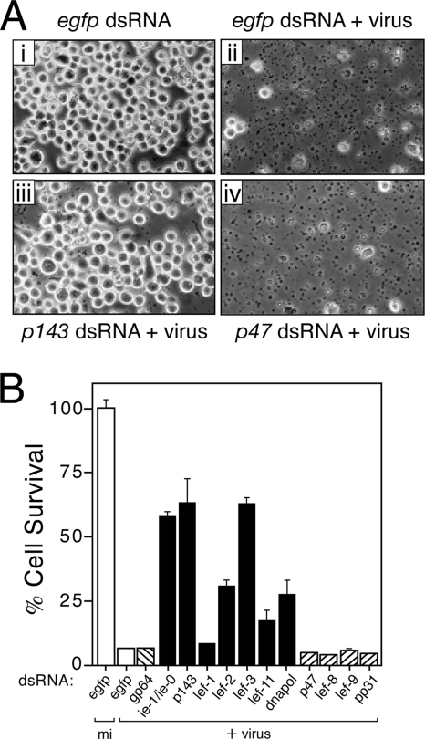 FIG. 5.