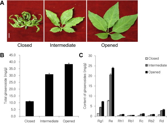 Fig. 2