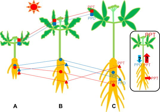 Fig. 5