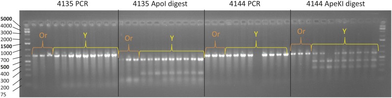 Figure 5