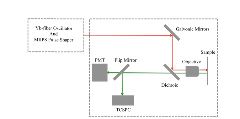 Fig. 1