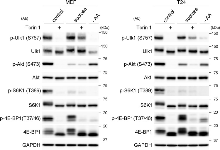 FIG 6