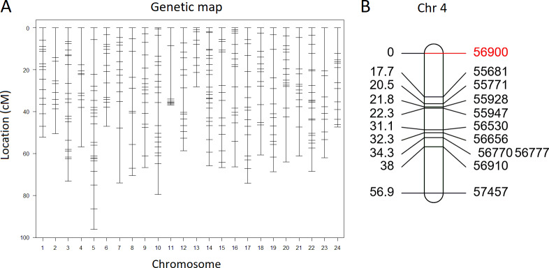 Fig 3