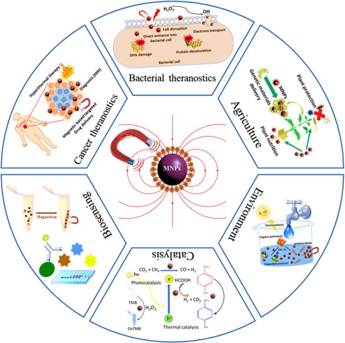 GRAPHICAL ABSTRACT