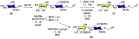 Scheme 3