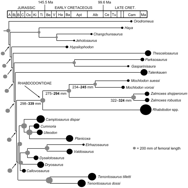 Figure 14