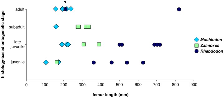 Figure 13