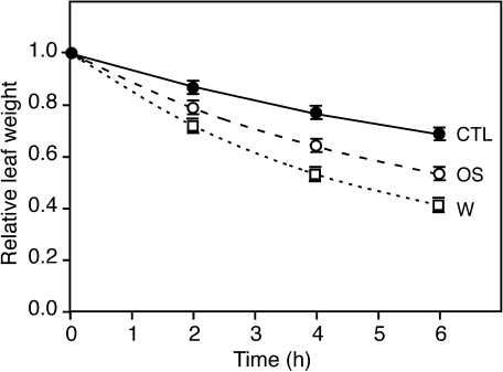 Fig. 5.