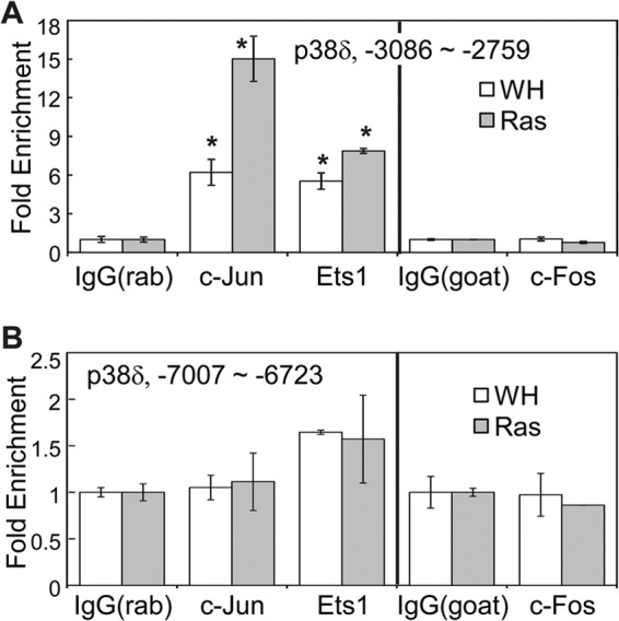 Fig 7