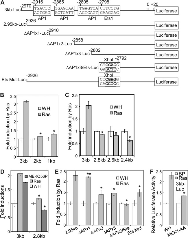 Fig 6