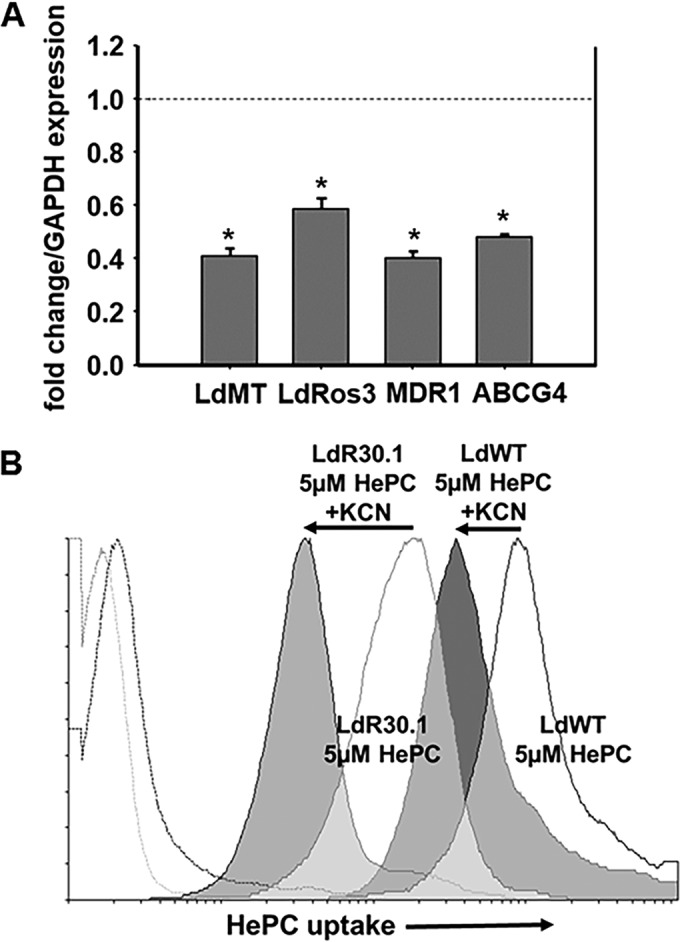 FIG 3