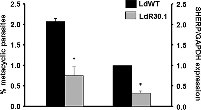 FIG 5