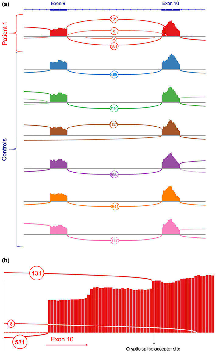 FIGURE 2