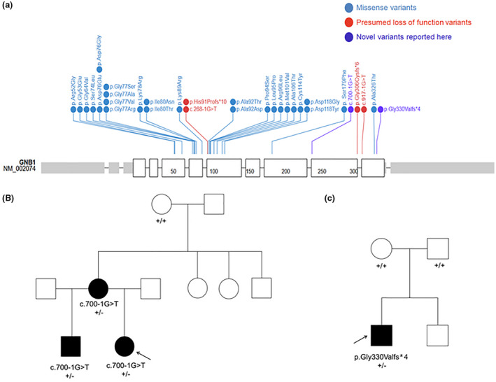 FIGURE 1