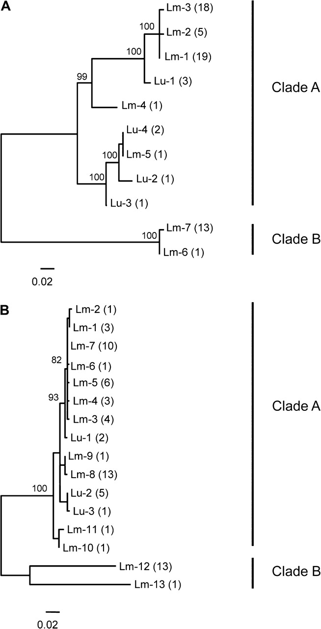 FIG. 4.—