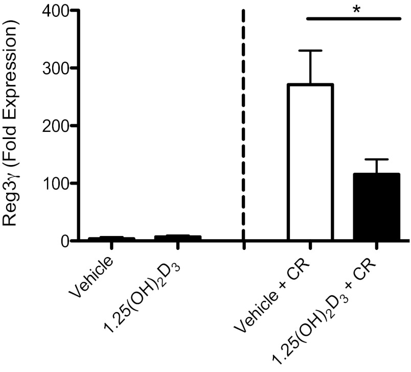 Fig. 8.