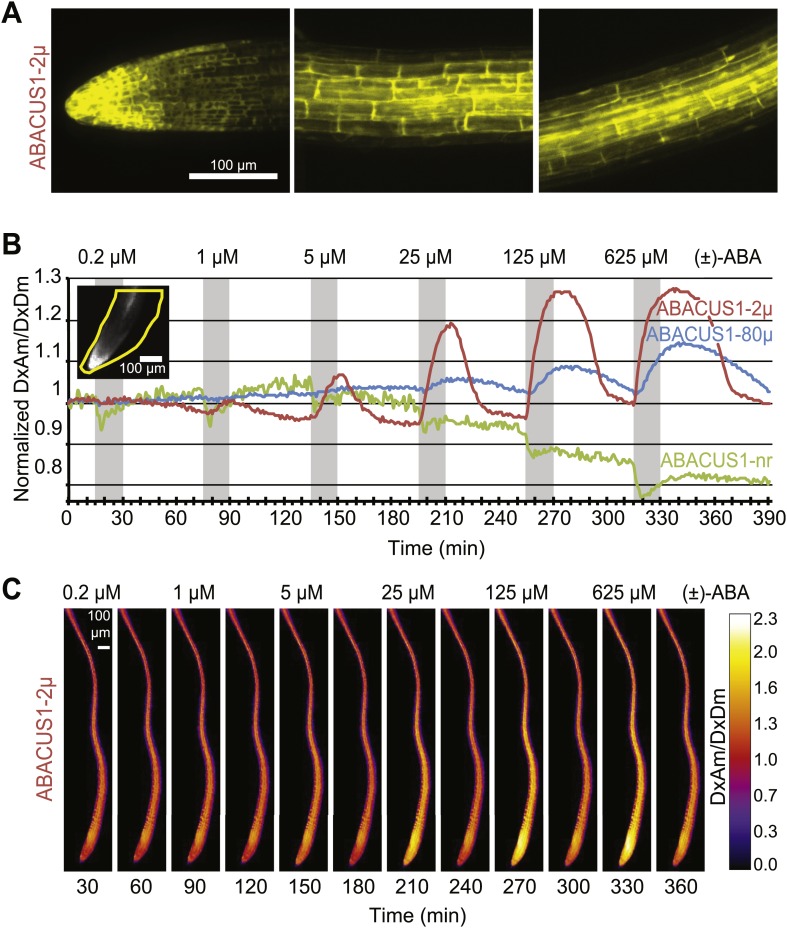 Figure 6.