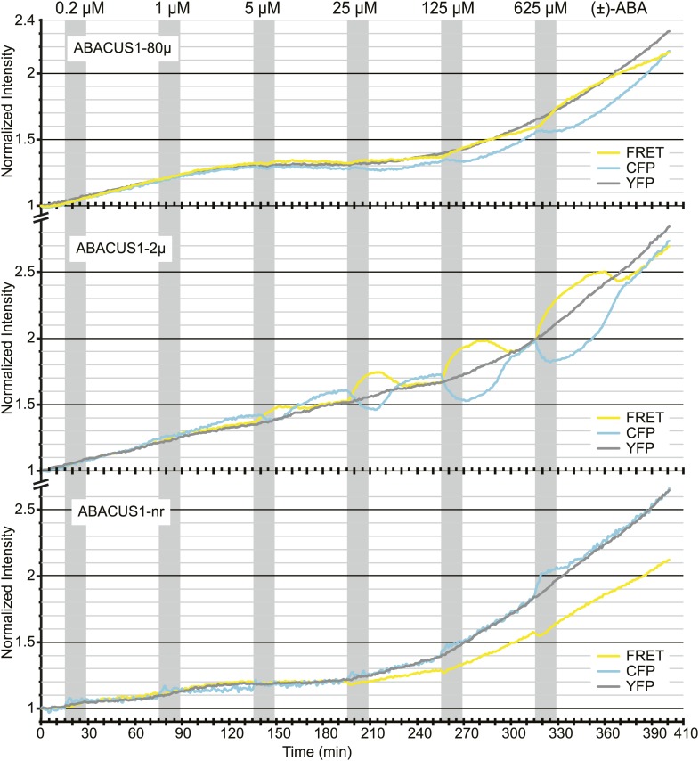 Figure 6—figure supplement 1.