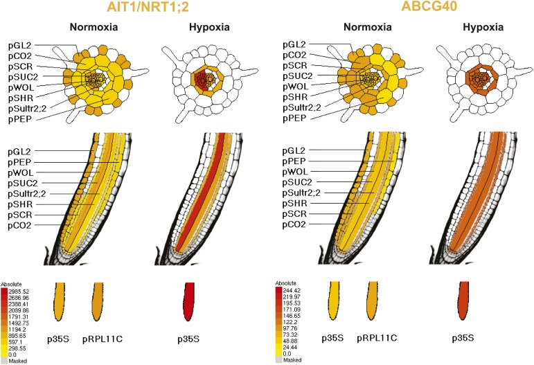 Figure 10.