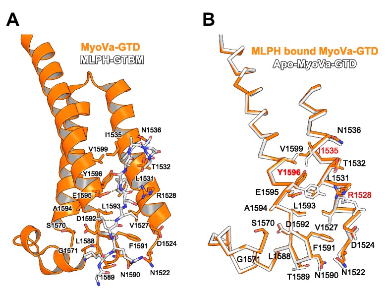 Figure 4—figure supplement 4.