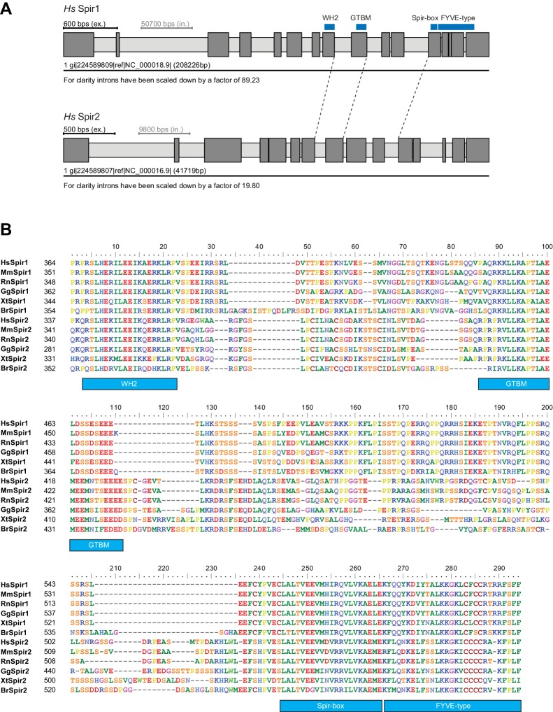 Figure 4—figure supplement 1.