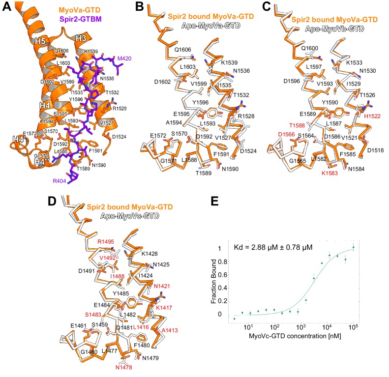 Figure 4—figure supplement 3.