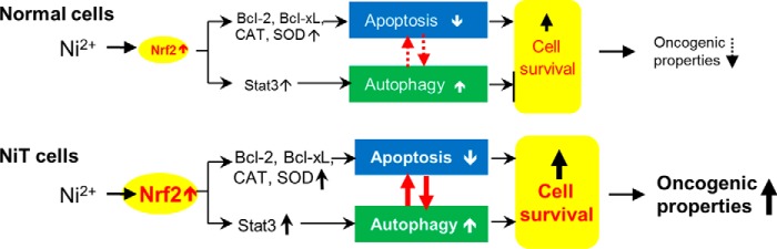 Figure 9.